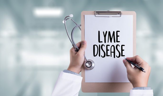 Homecare in Taunton MA: Risk of Lyme Disease