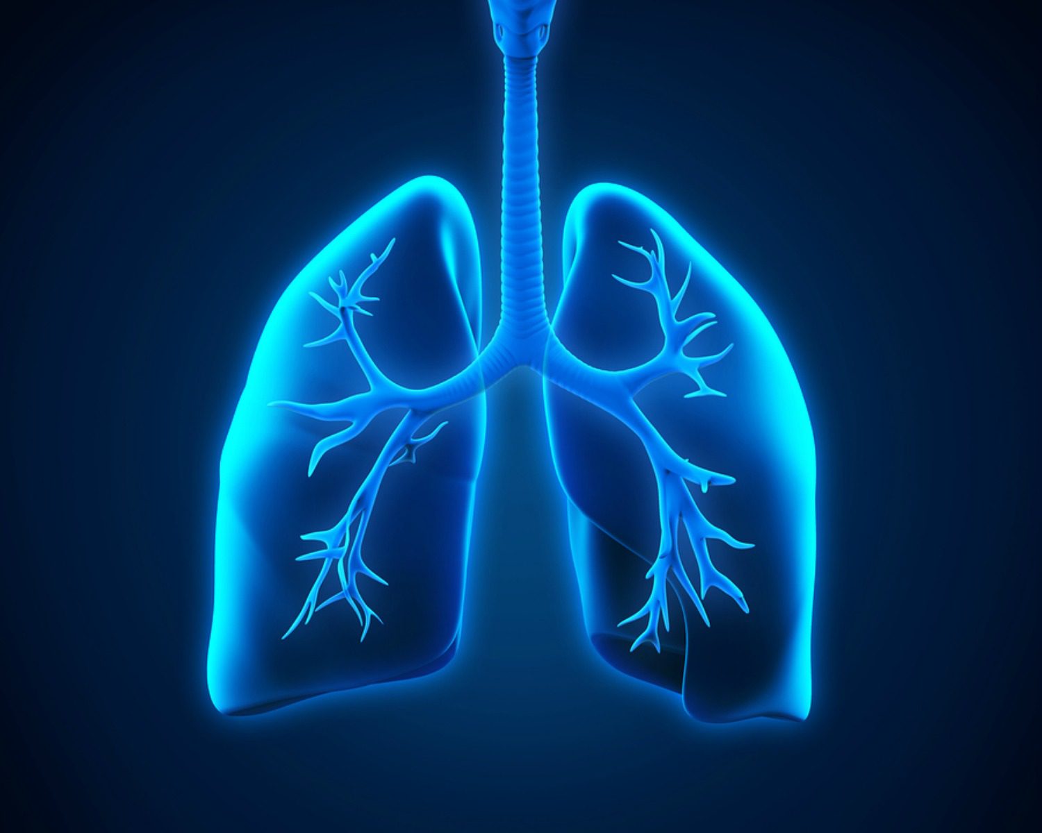 Home Health Care in Rockland MA: Pulmonary Rehab